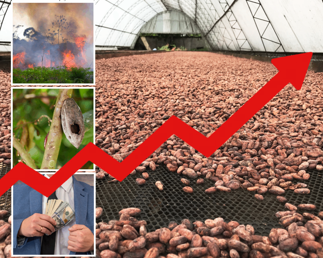 Kakao krizi büyüyor